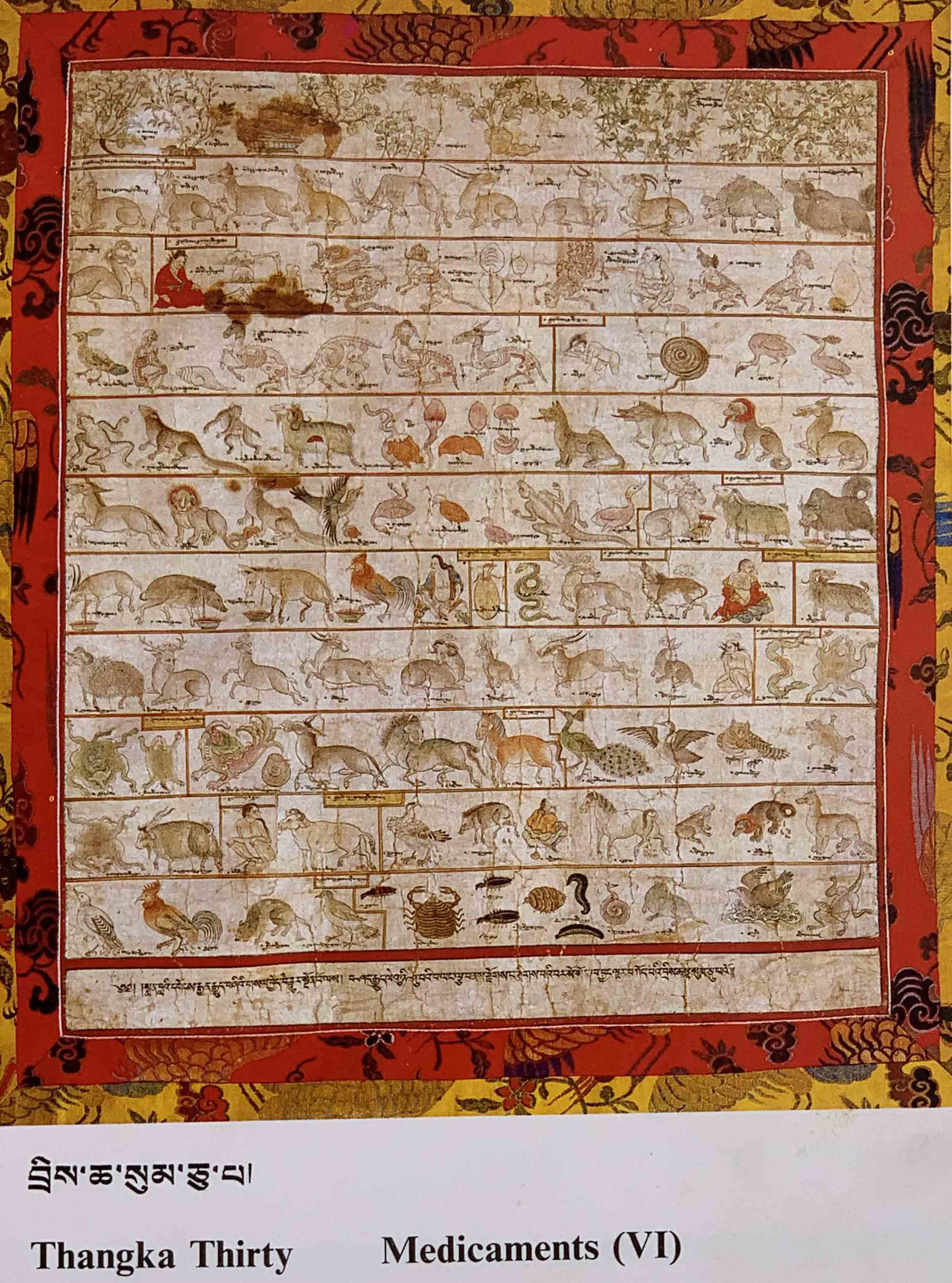 八十一醫典唐卡16-30